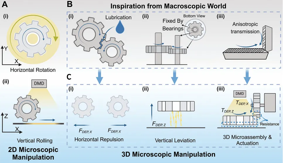 北理工Advanced Materials封面论文：光电镊技术新突破-光驱动3D微齿轮系统实现跨平面运动传递