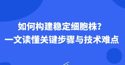 如何构建稳定细胞株？ 一文读懂关键步骤与技术难点