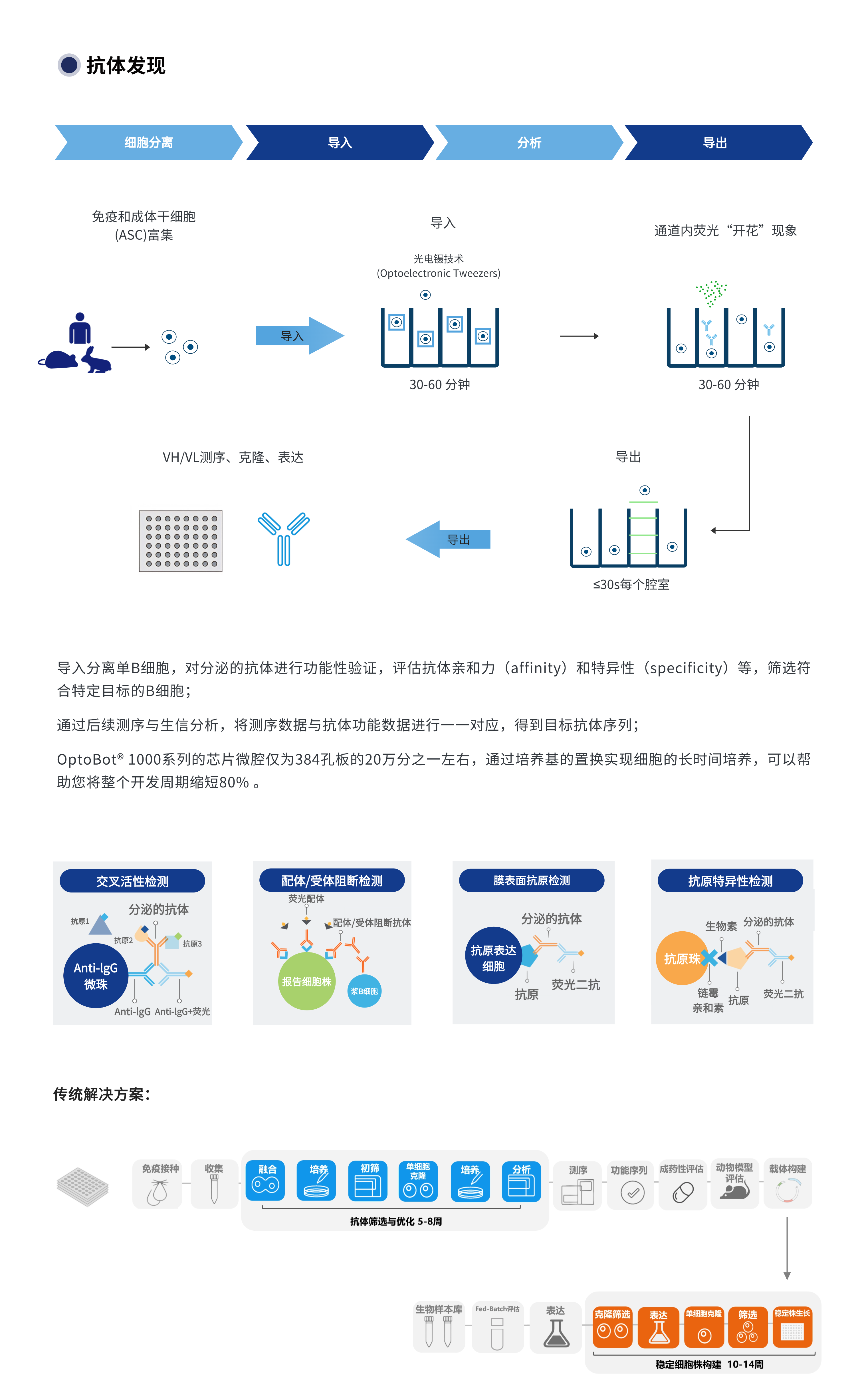 抗体发现 (1).png 抗体发现 (1).png