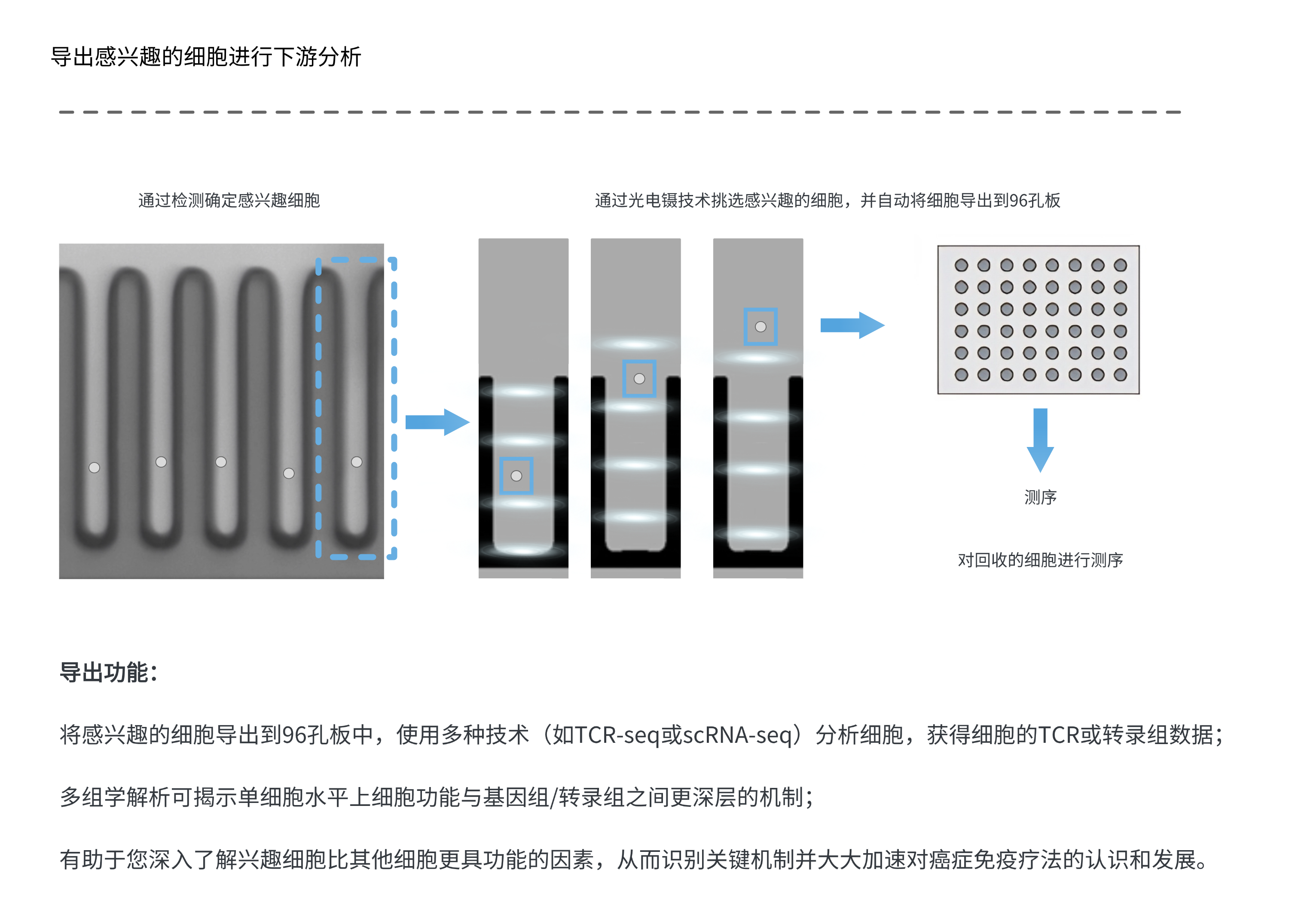 细胞治疗 (2).png 细胞治疗 (2).png