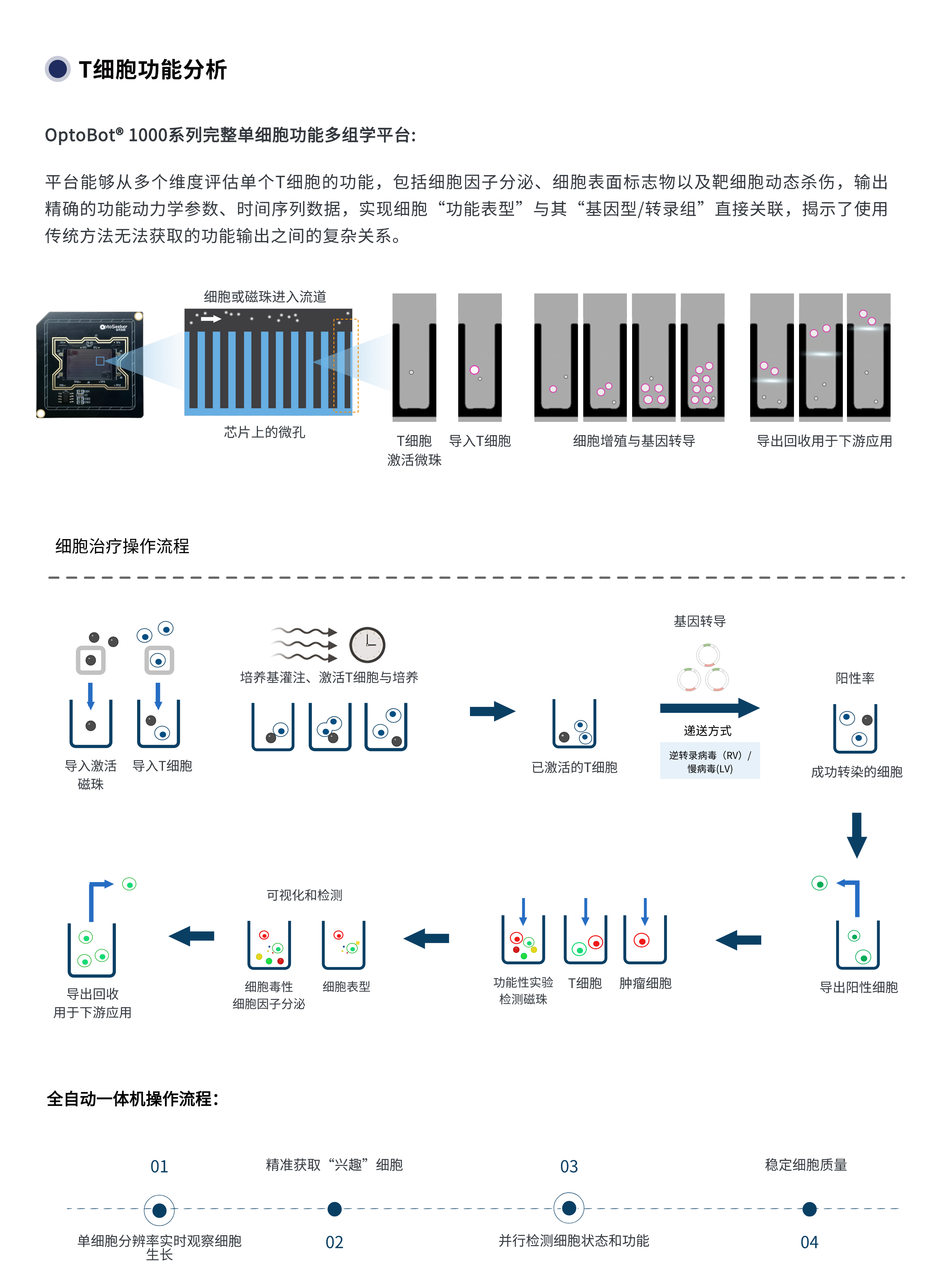 细胞治疗 (1).png 细胞治疗 (1).png