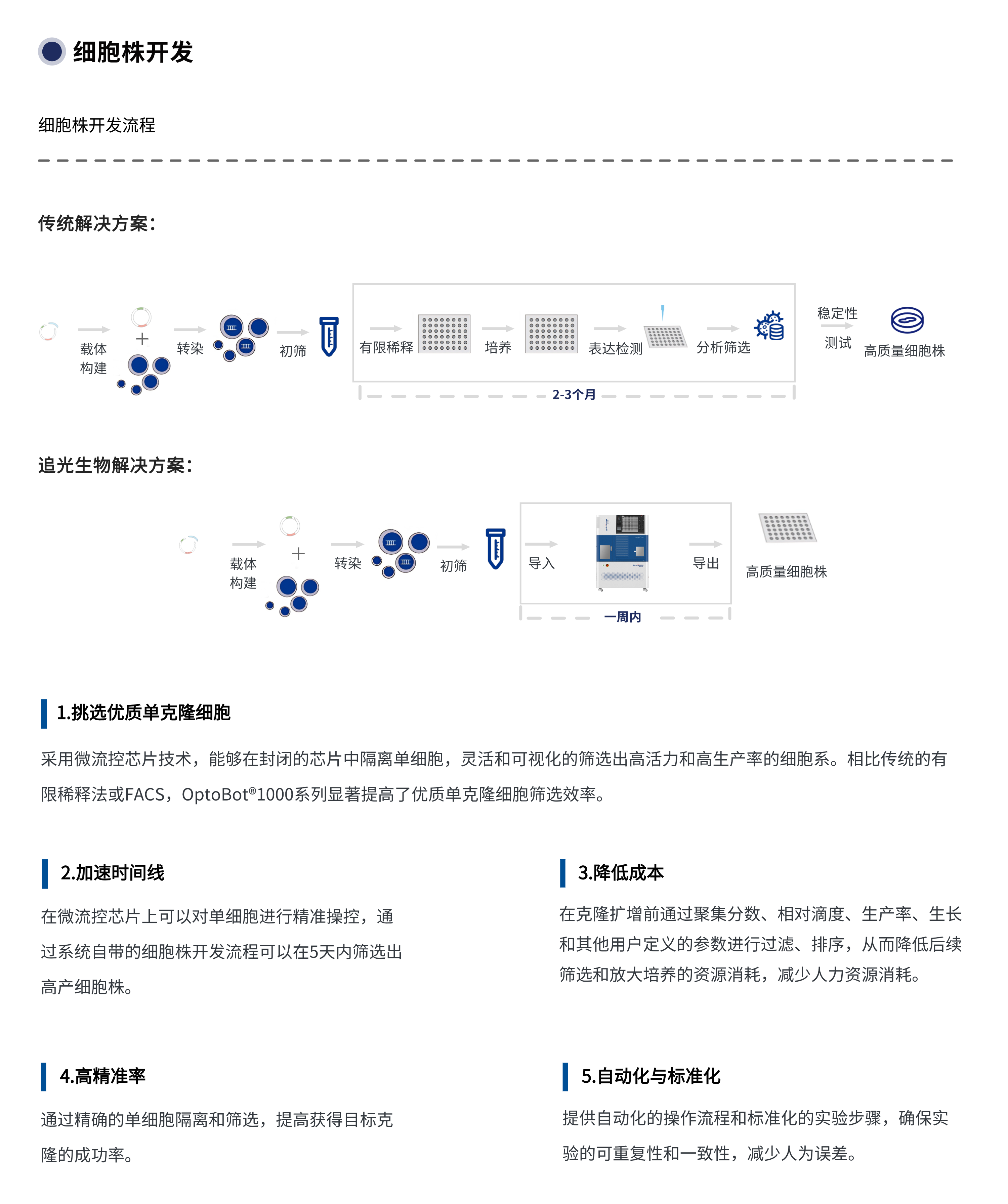 细胞株开发 中文.png